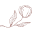 boldfavoritesselection.shop logo